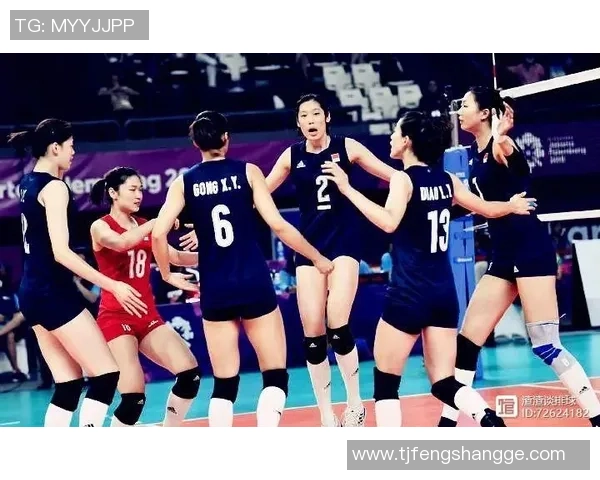 武汉排球队节奏对比分析揭示战术变化与队员表现关系